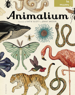 Atelier Animalium Evolutia explicata copiilor